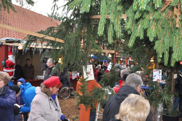 Weihnachtswald vom 7.Dez. bis 9.Dez. 2018