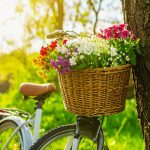 1.Fahrrad-Frühling in  Esens- Bensersiel am 26.April 2026