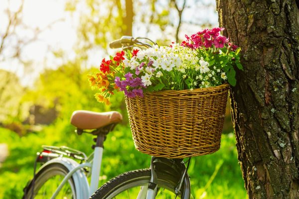 1.Fahrrad-Frühling in  Esens- Bensersiel am 26.April 2026