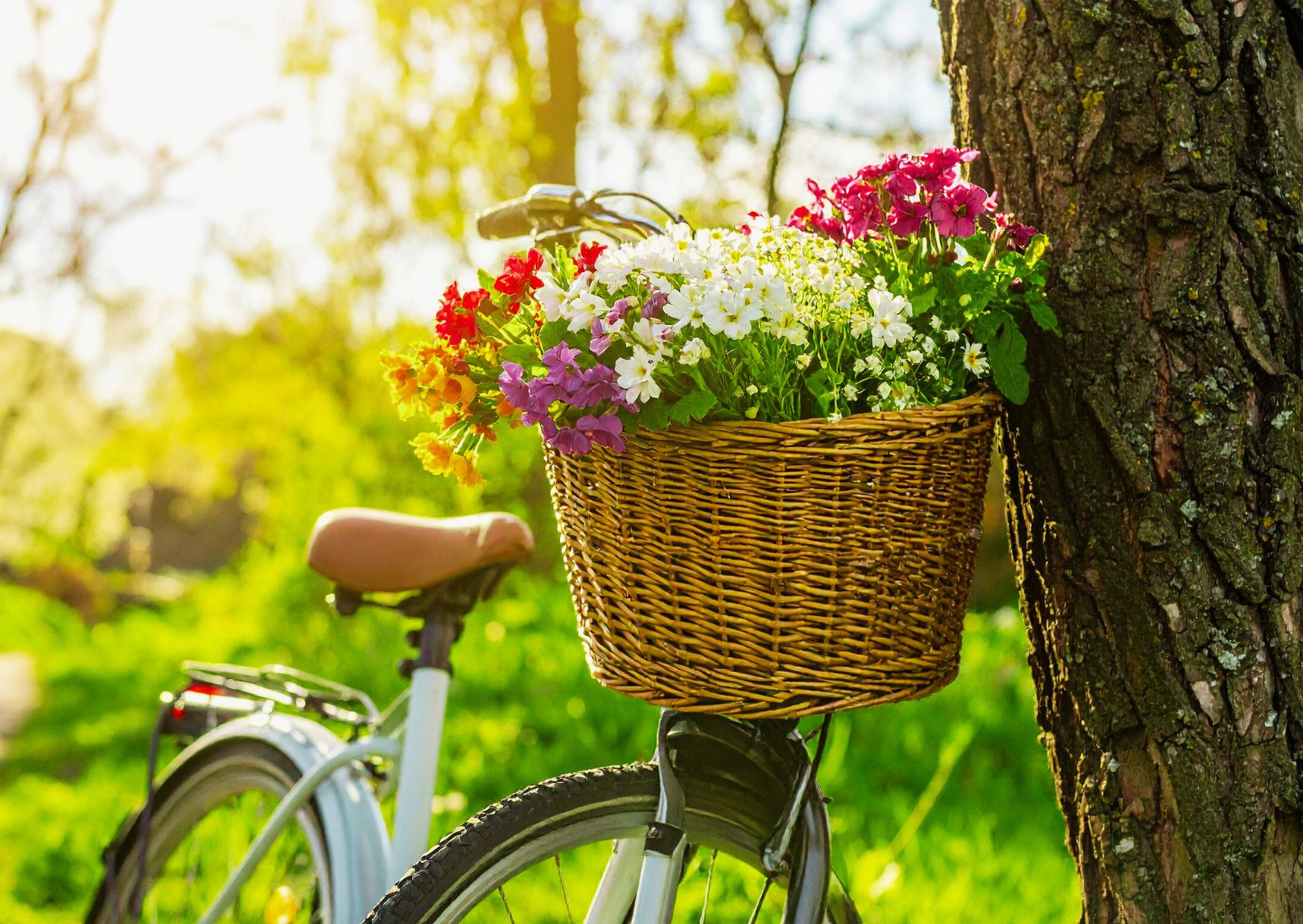 1.Fahrrad- Frühling in Esens-Bensersiel -26.April 2026